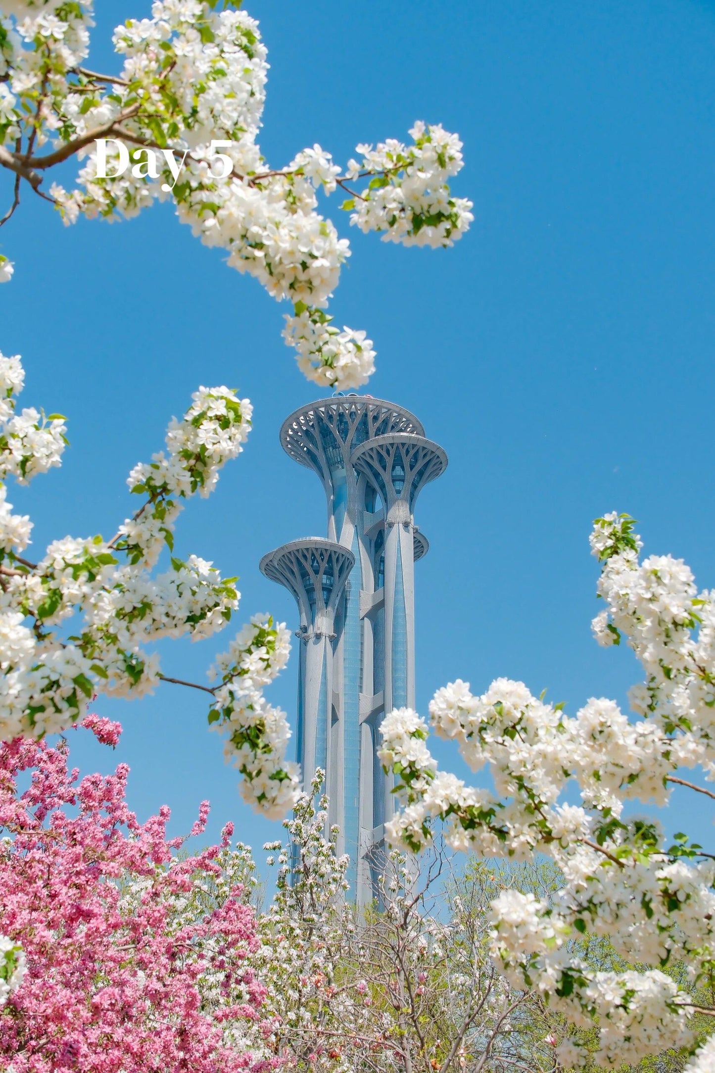 All-In-One-China (Luxury 23-Days)