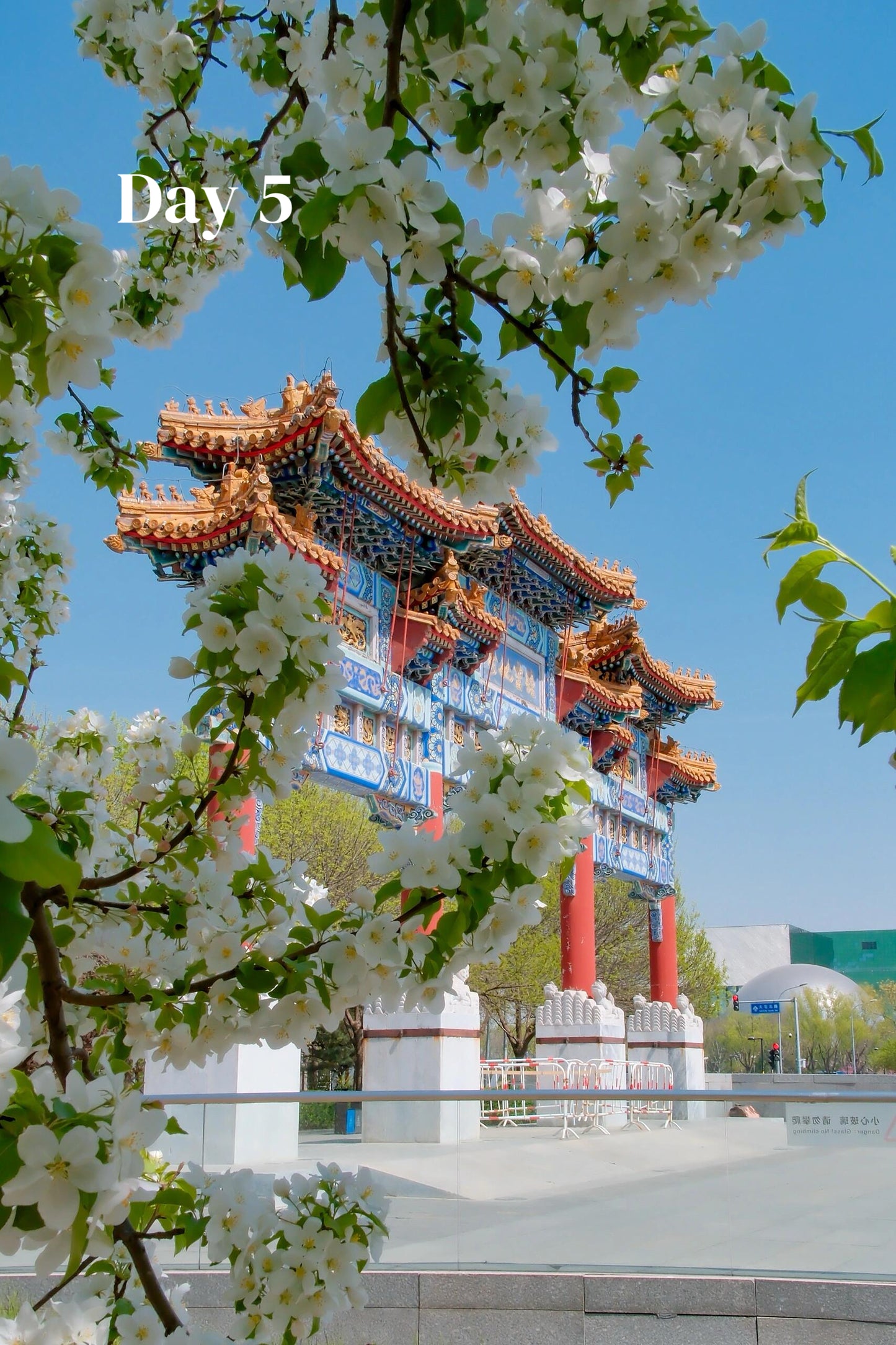 All-In-One-China (Luxury 23-Days)