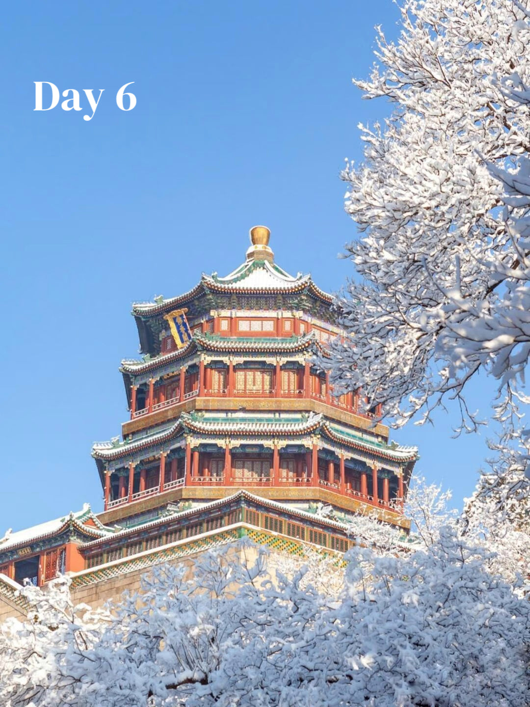 All-In-One-China (Luxury 23-Days)