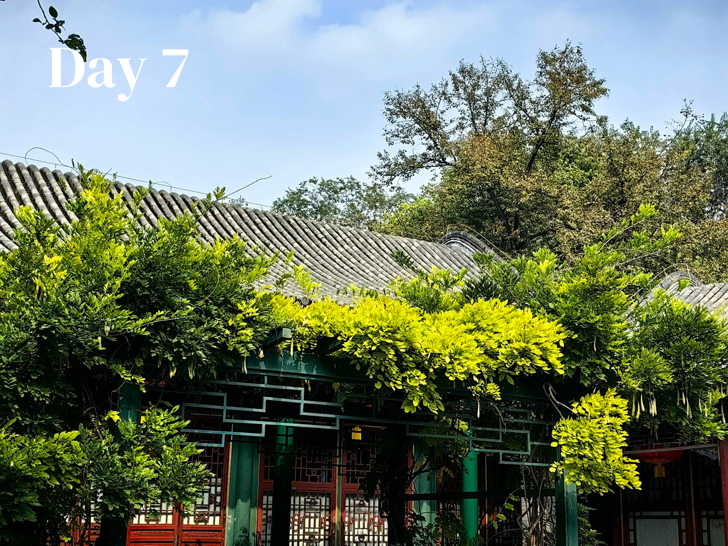 All-In-One-China (Luxury 23-Days)