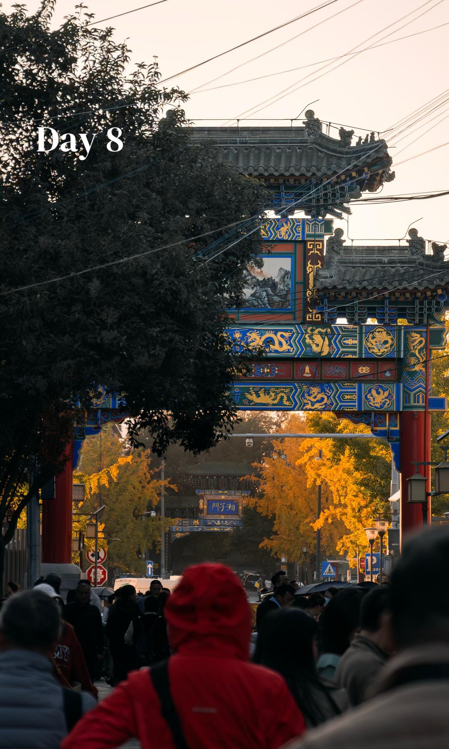 All-In-One-China (Luxury 23-Days)