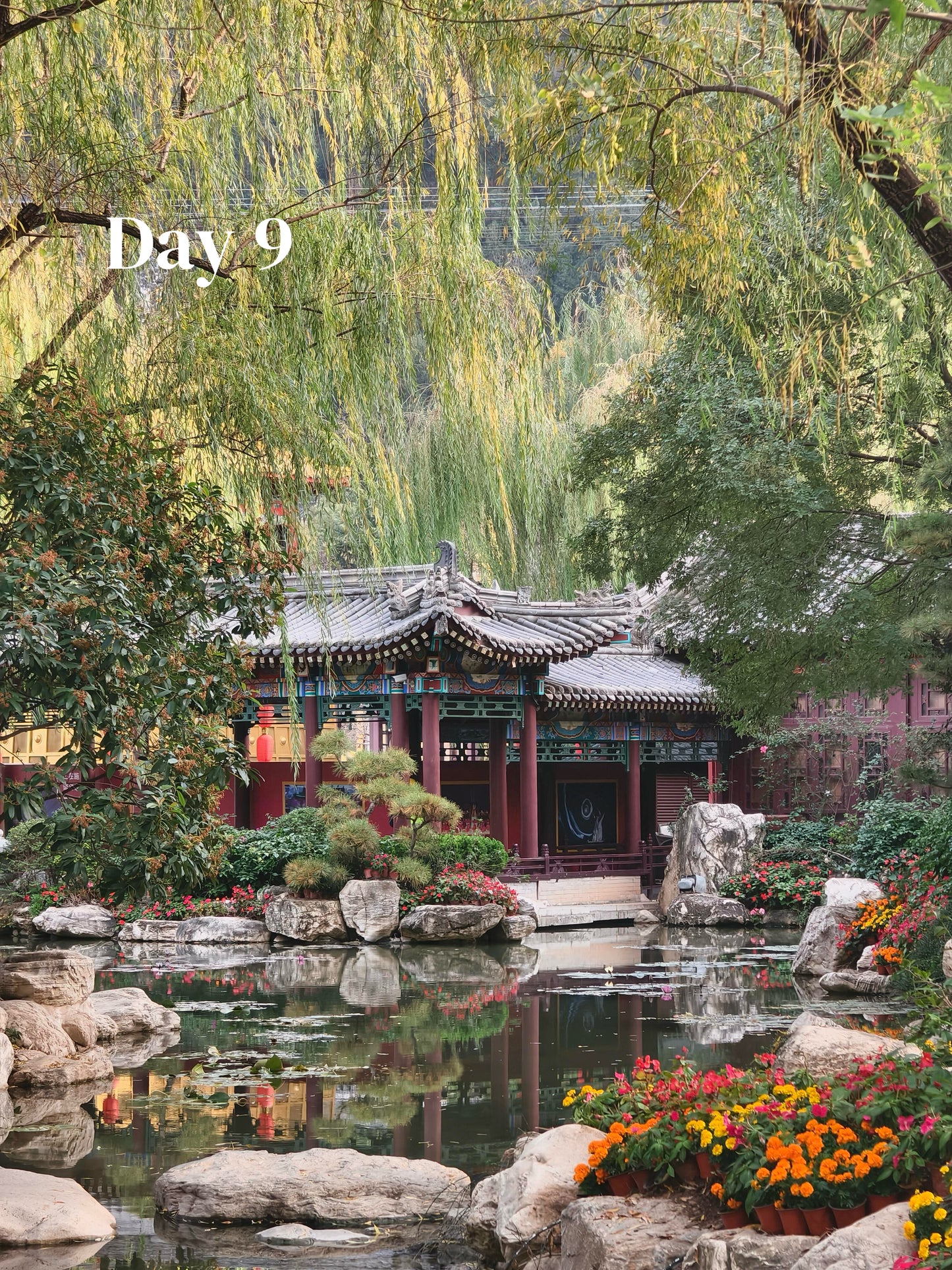 All-In-One-China (Luxury 23-Days)