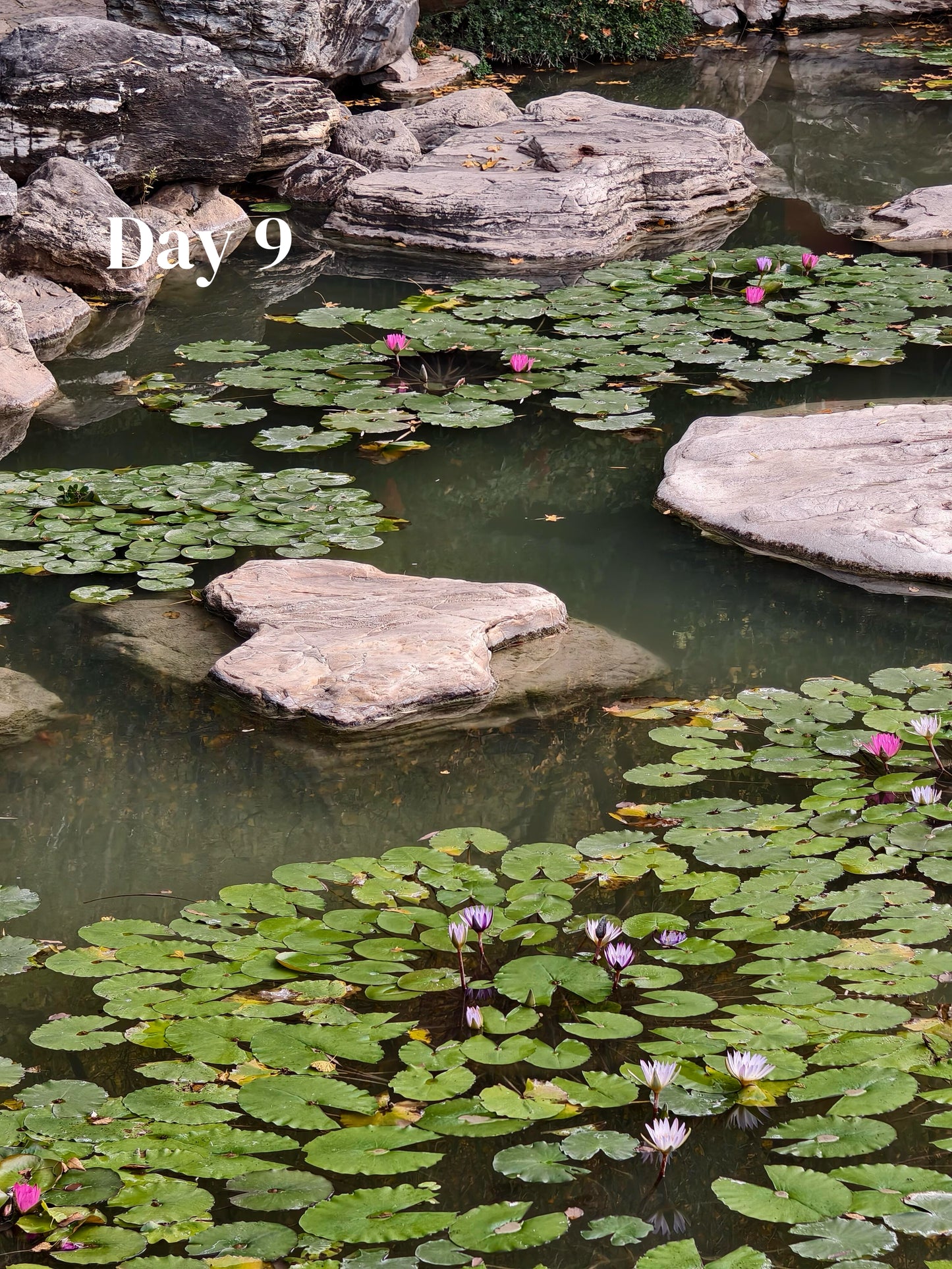 All-In-One-China (Luxury 23-Days)