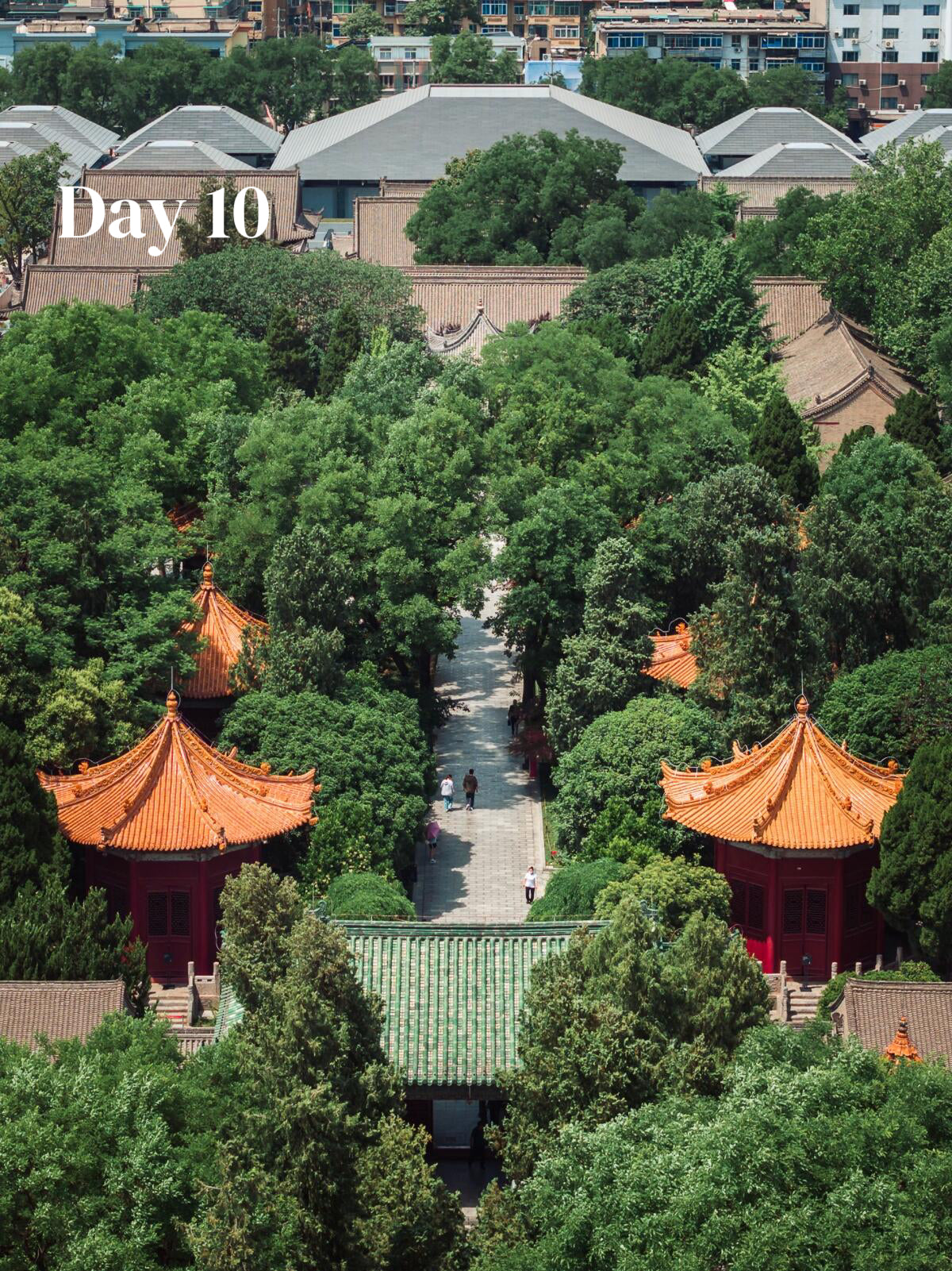 All-In-One-China (Luxury 23-Days)