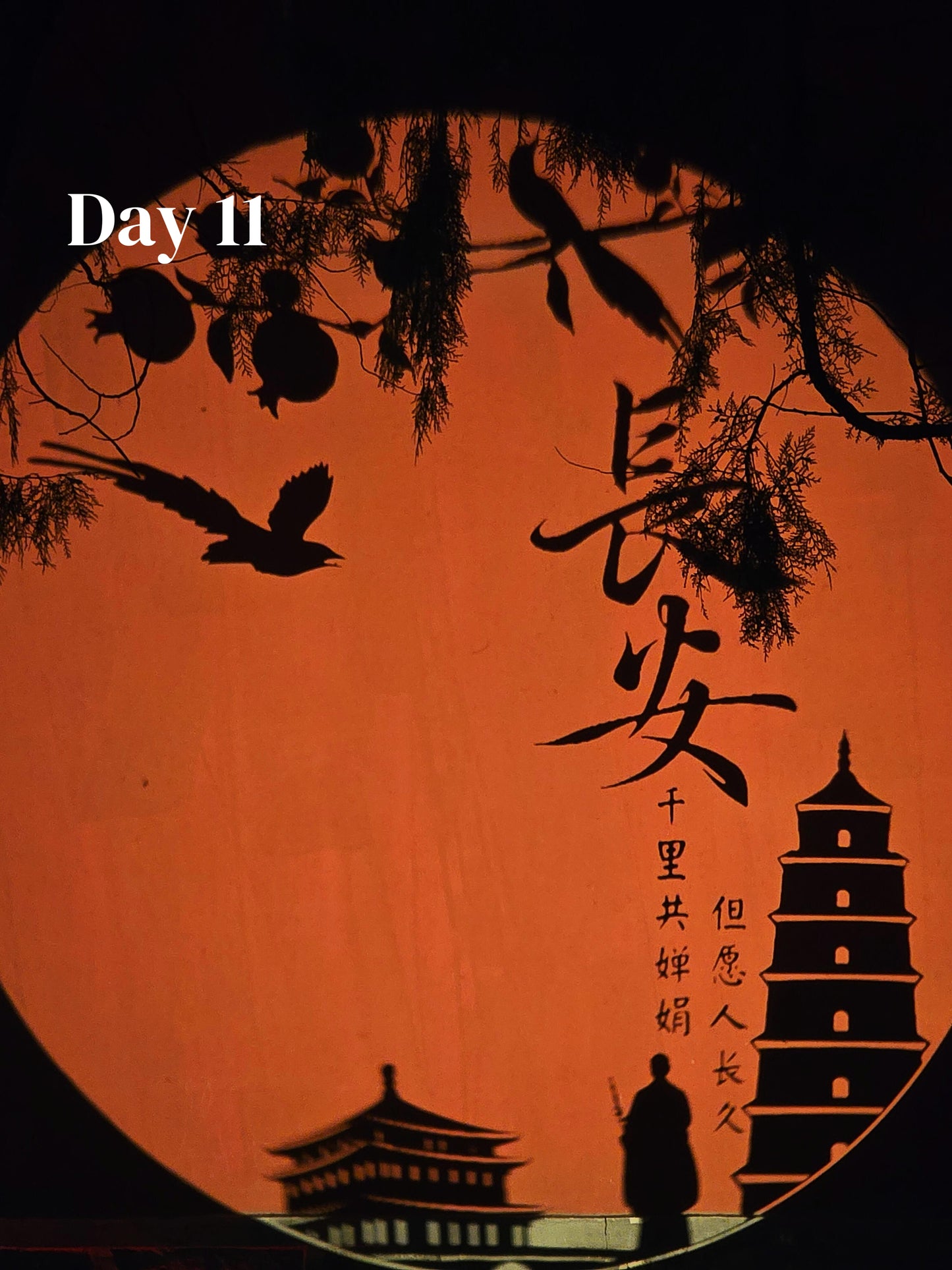 All-In-One-China (Luxury 23-Days)