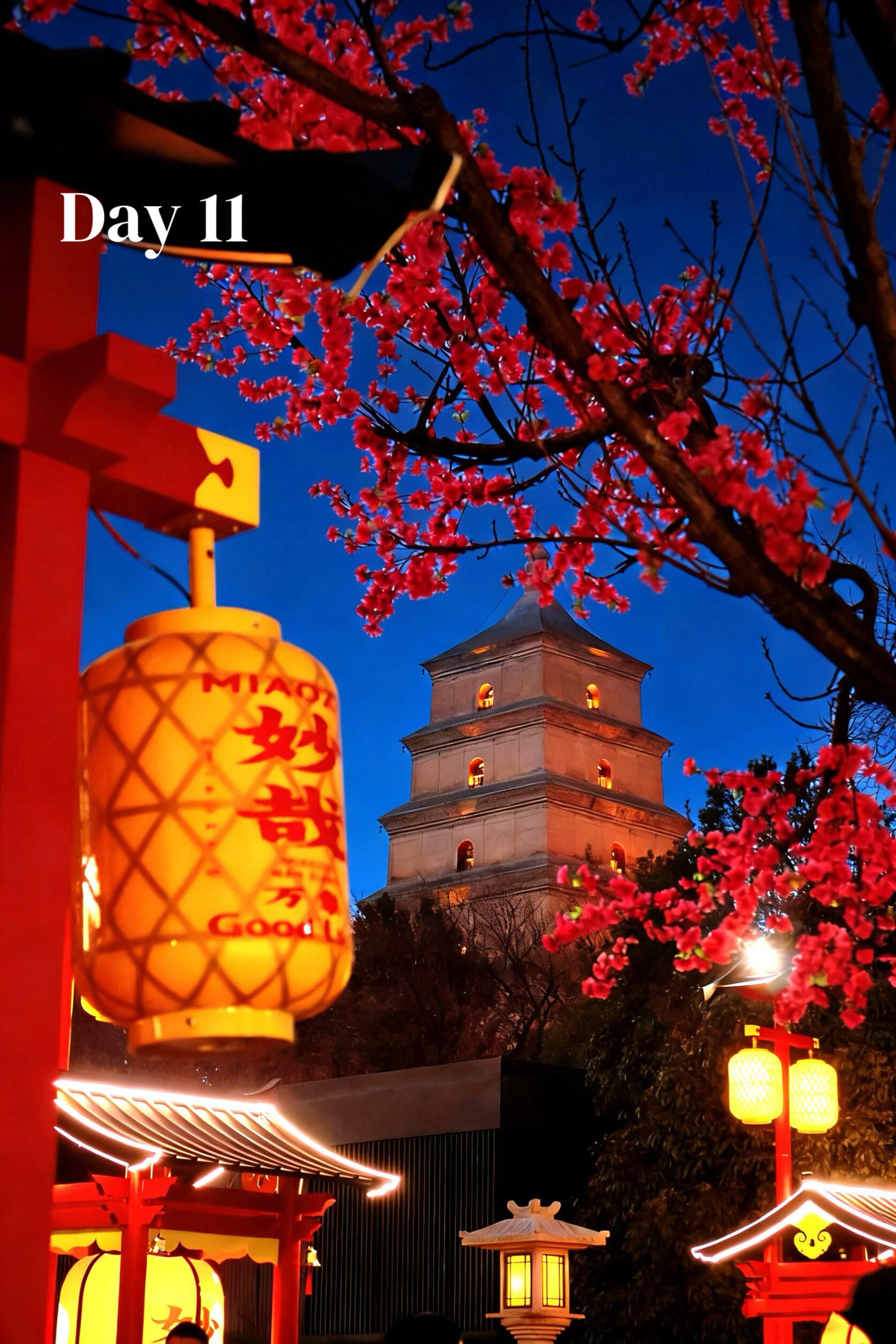 All-In-One-China (Luxury 23-Days)