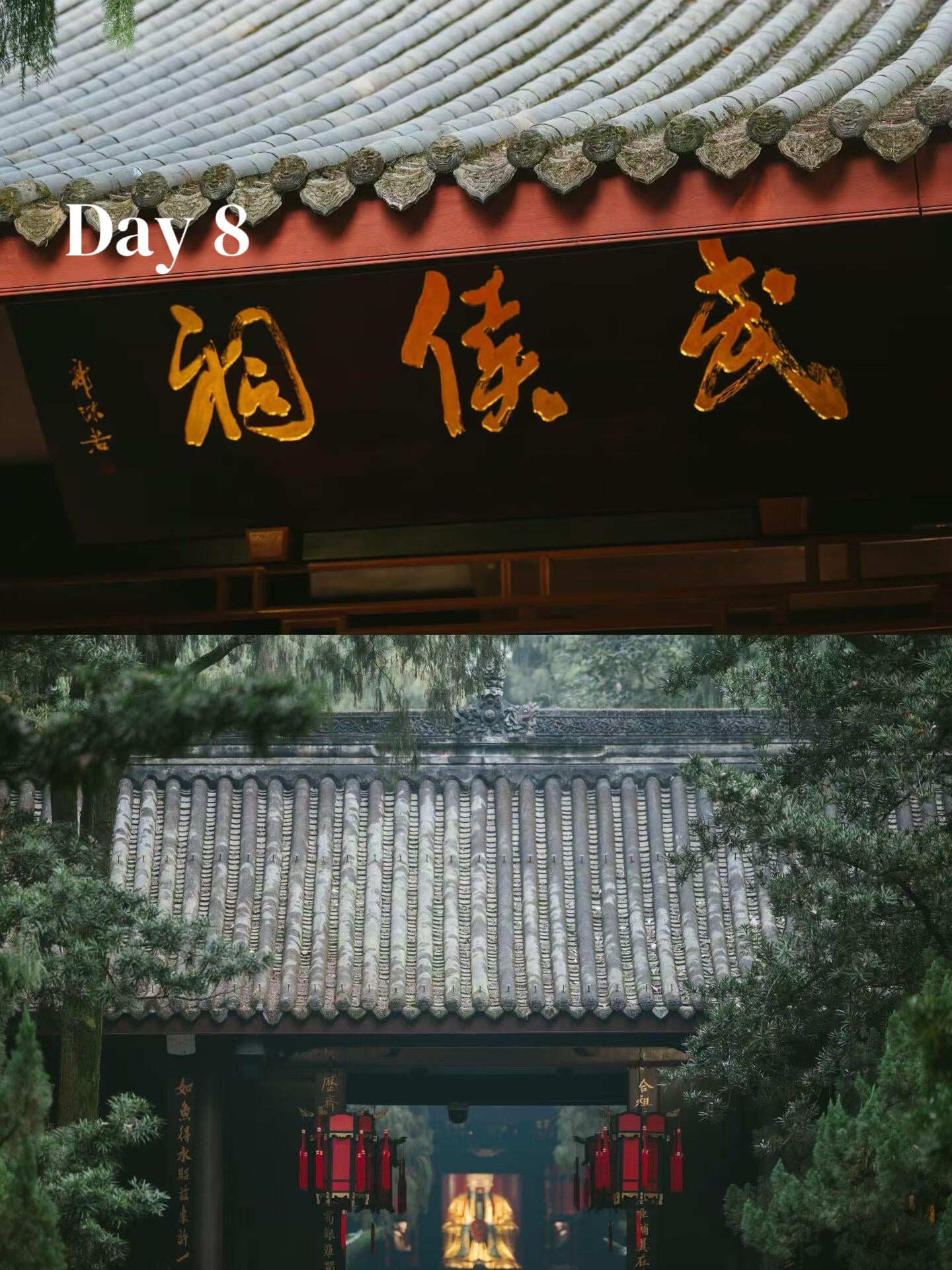 Route 2: Chengdu + Chongqing + Jiuzhaigou + Mount Emei + Dujiangyan + Leshan + Wulong Karst + Wujiang (Private Luxury 12-Days all 5*Diamond Grade Hotels)
