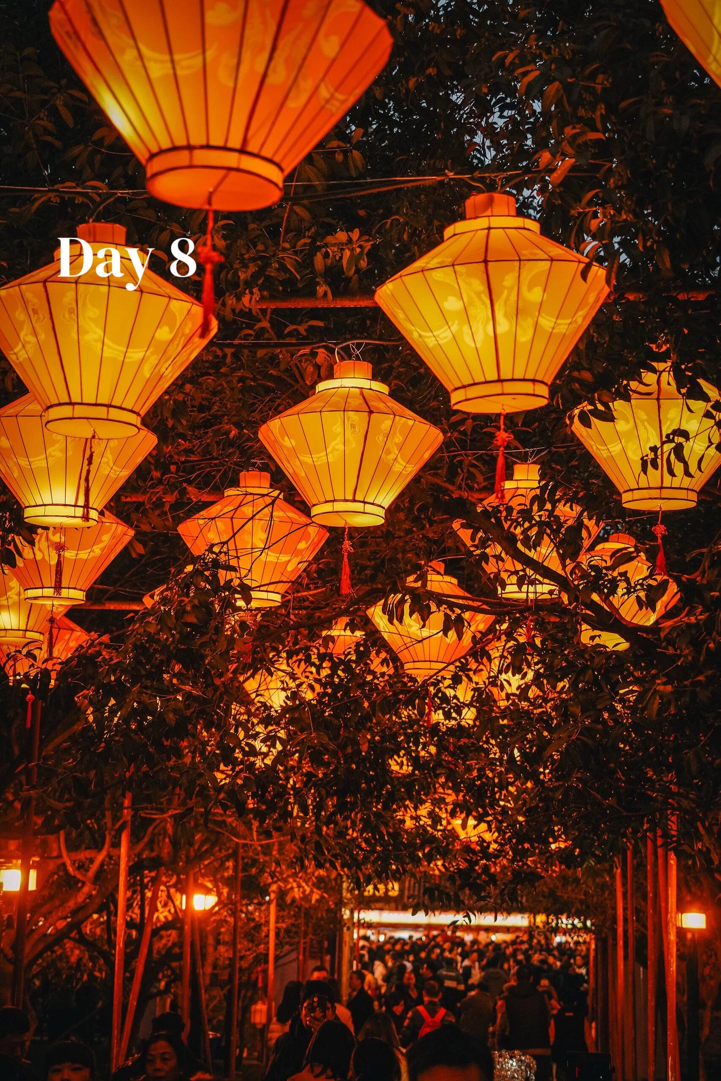 Route 2: Chengdu + Chongqing + Jiuzhaigou + Mount Emei + Dujiangyan + Leshan + Wulong Karst + Wujiang (Private Luxury 12-Days all 5*Diamond Grade Hotels)