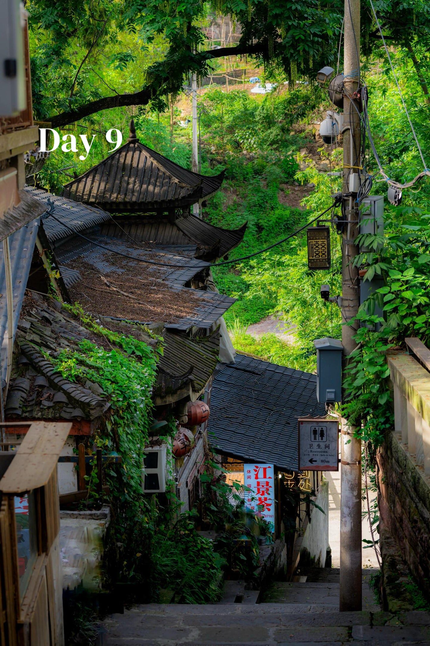 Route 2: Chengdu + Chongqing + Jiuzhaigou + Mount Emei + Dujiangyan + Leshan + Wulong Karst + Wujiang (Private Luxury 12-Days all 5*Diamond Grade Hotels)