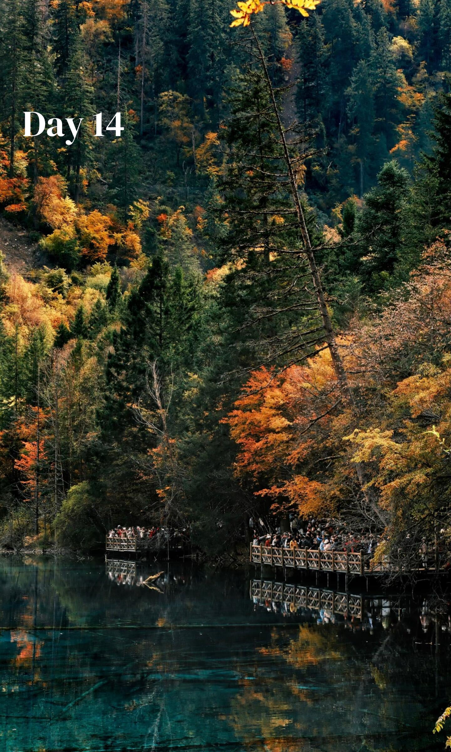 All-In-One-China (Luxury 23-Days)