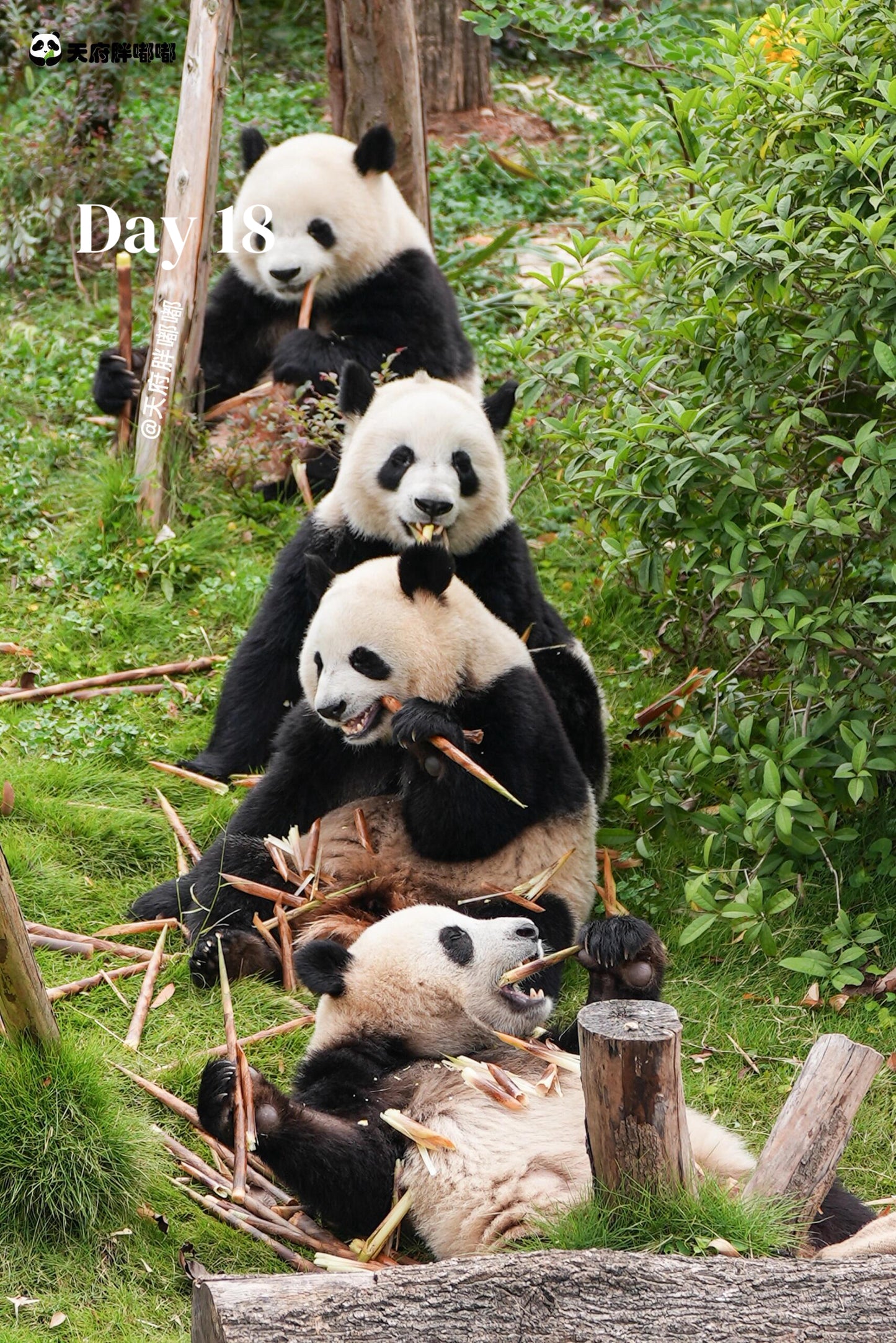 All-In-One-China (Luxury 23-Days)