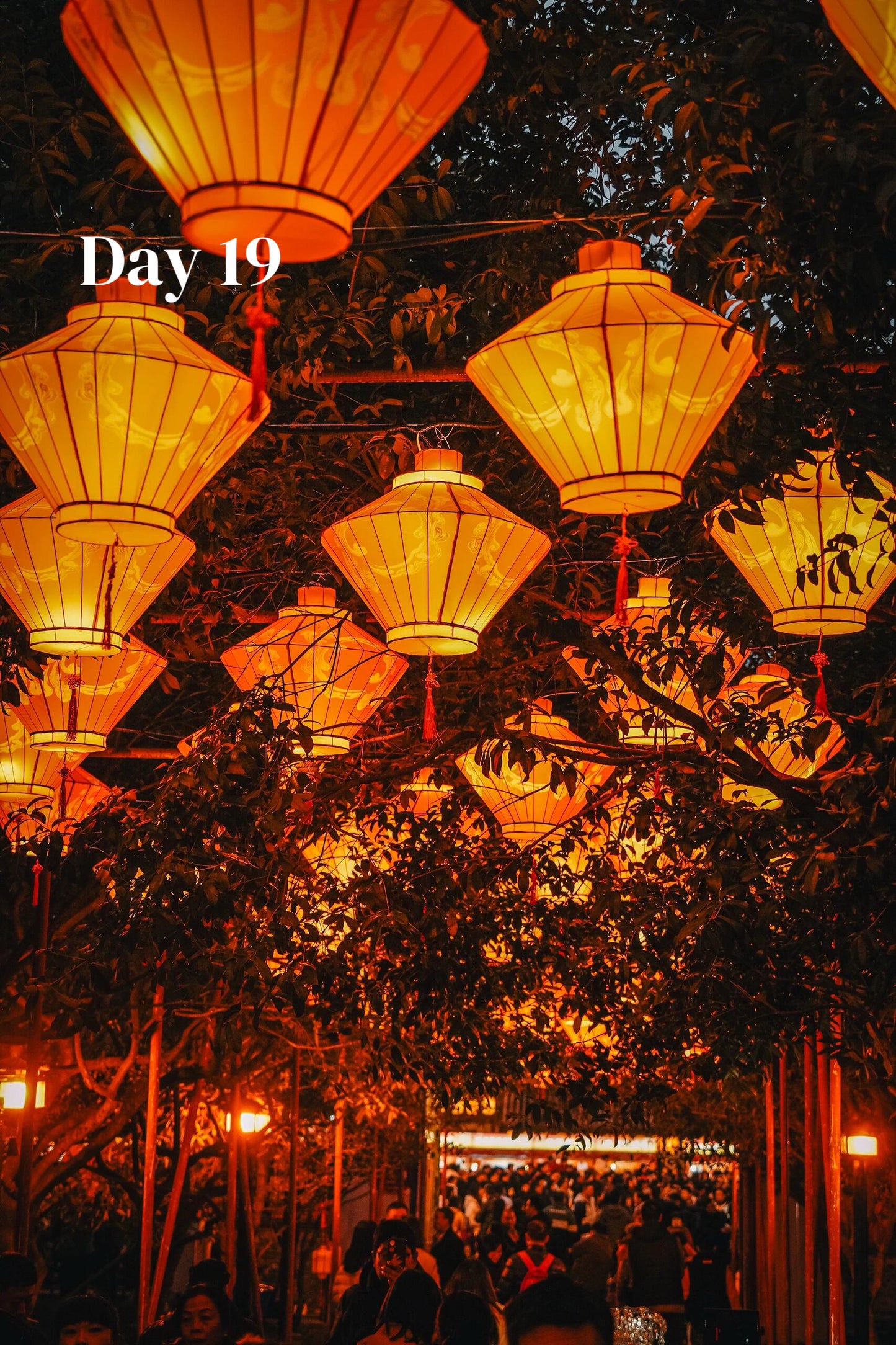 All-In-One-China (Luxury 23-Days)