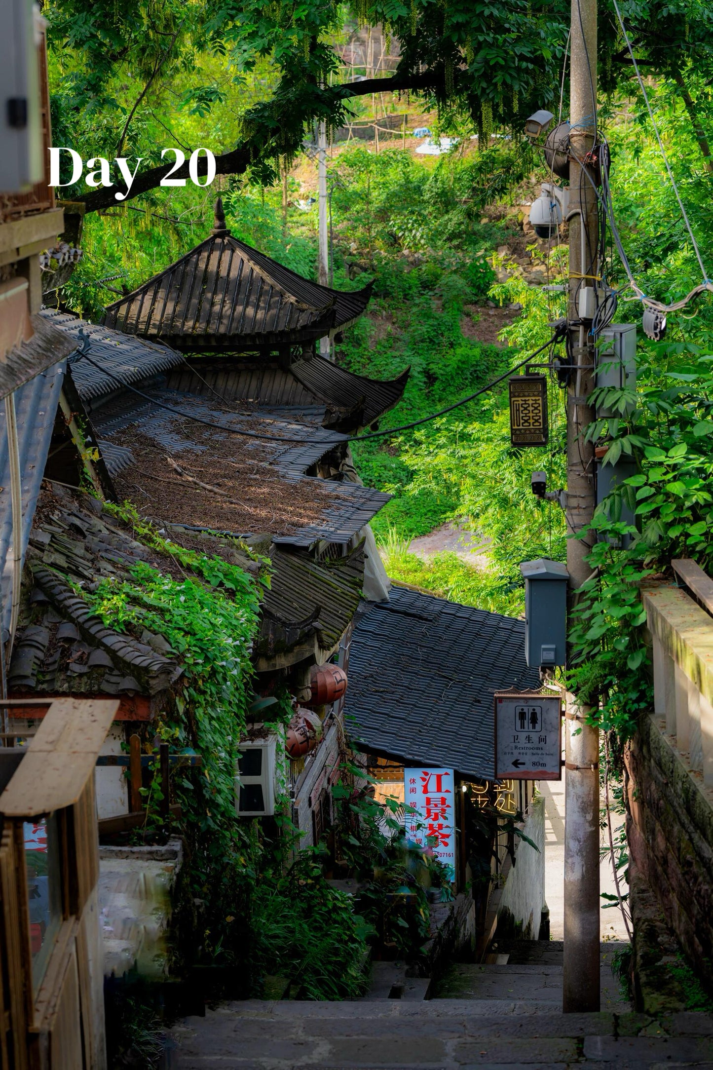 All-In-One-China (Luxury 23-Days)