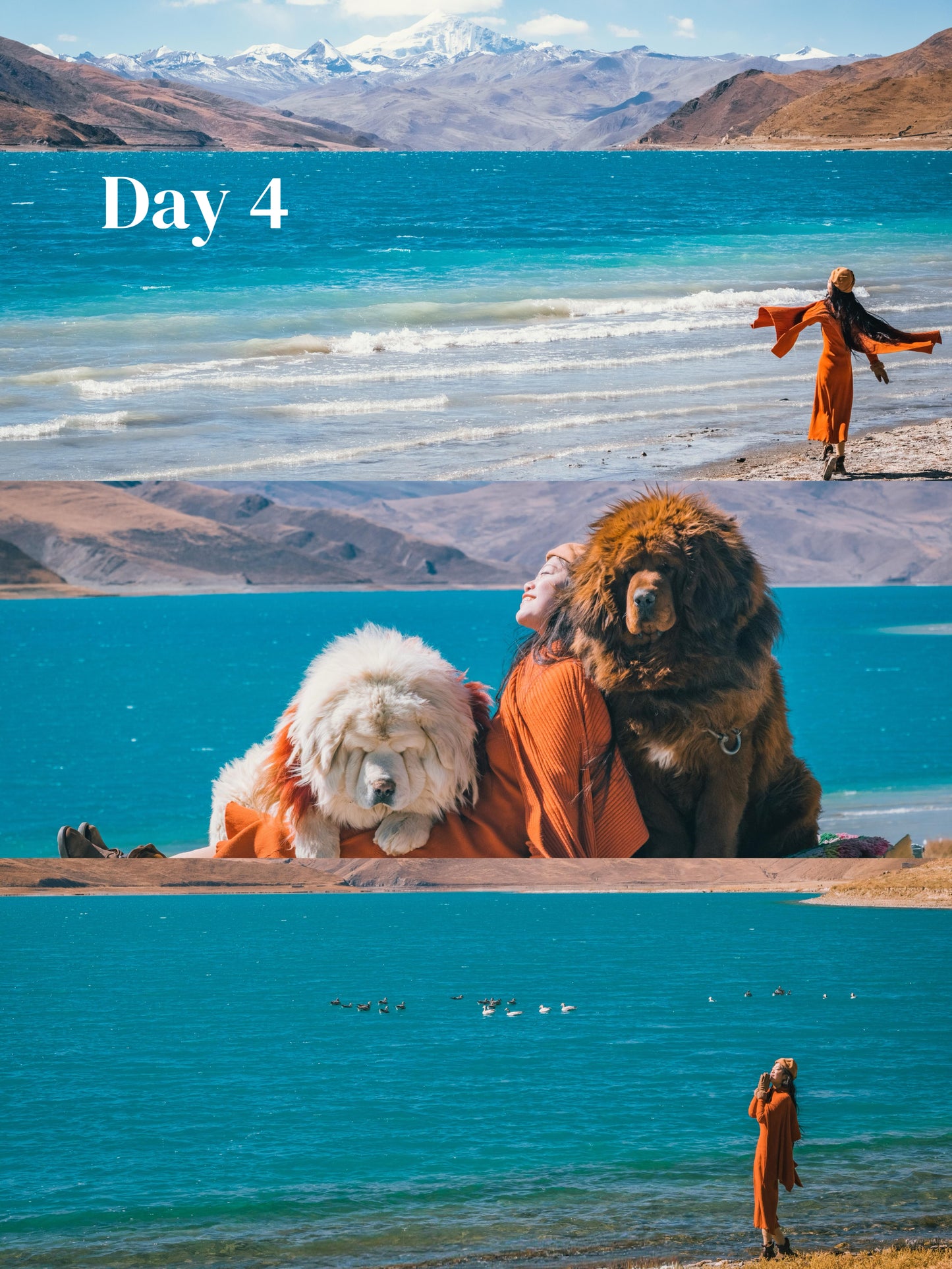 Tibet + Mount Everest (Private Luxury 8-Days all 5*Diamond Grade Hotels)