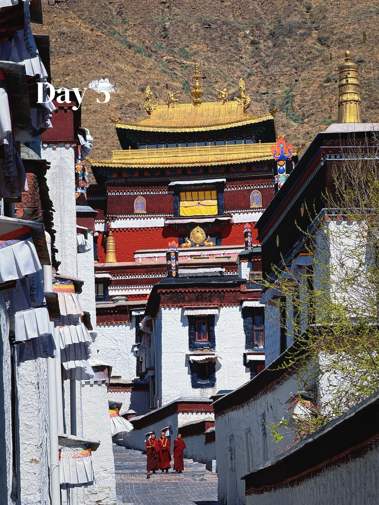 Tibet + Mount Everest (Private Luxury 8-Days all 5*Diamond Grade Hotels)