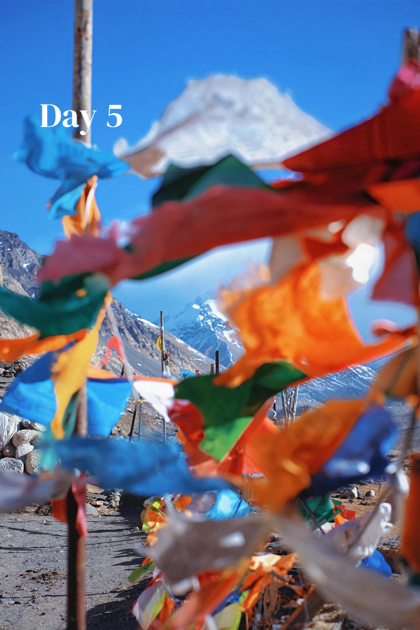 Tibet + Mount Everest (Private Luxury 8-Days all 5*Diamond Grade Hotels)