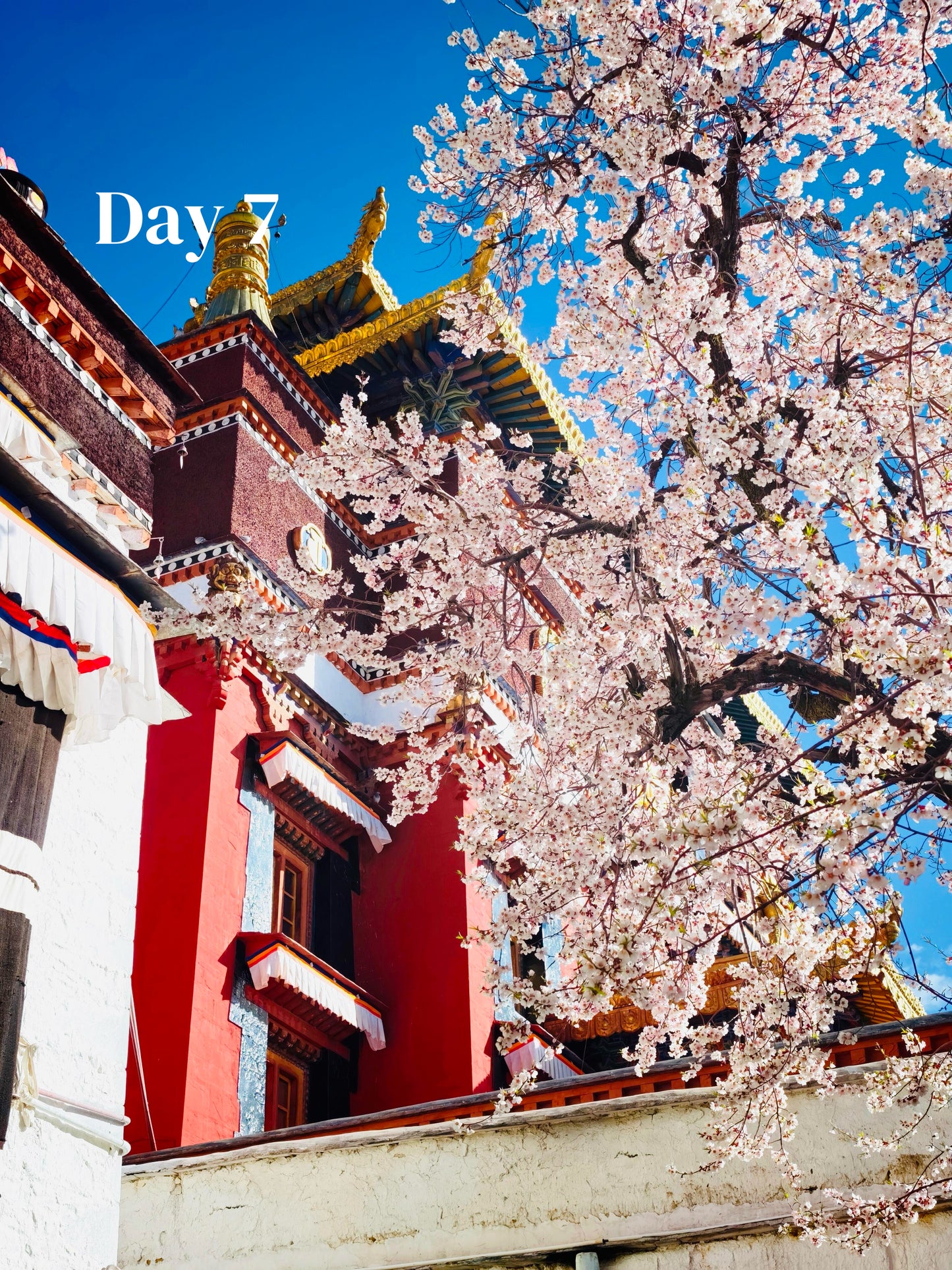 Tibet + Mount Everest (Private Luxury 8-Days all 5*Diamond Grade Hotels)