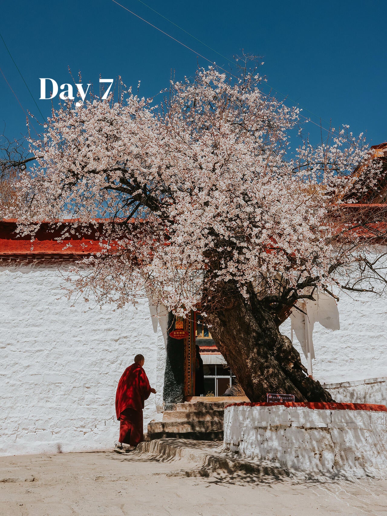 Tibet + Mount Everest (Private Luxury 8-Days all 5*Diamond Grade Hotels)