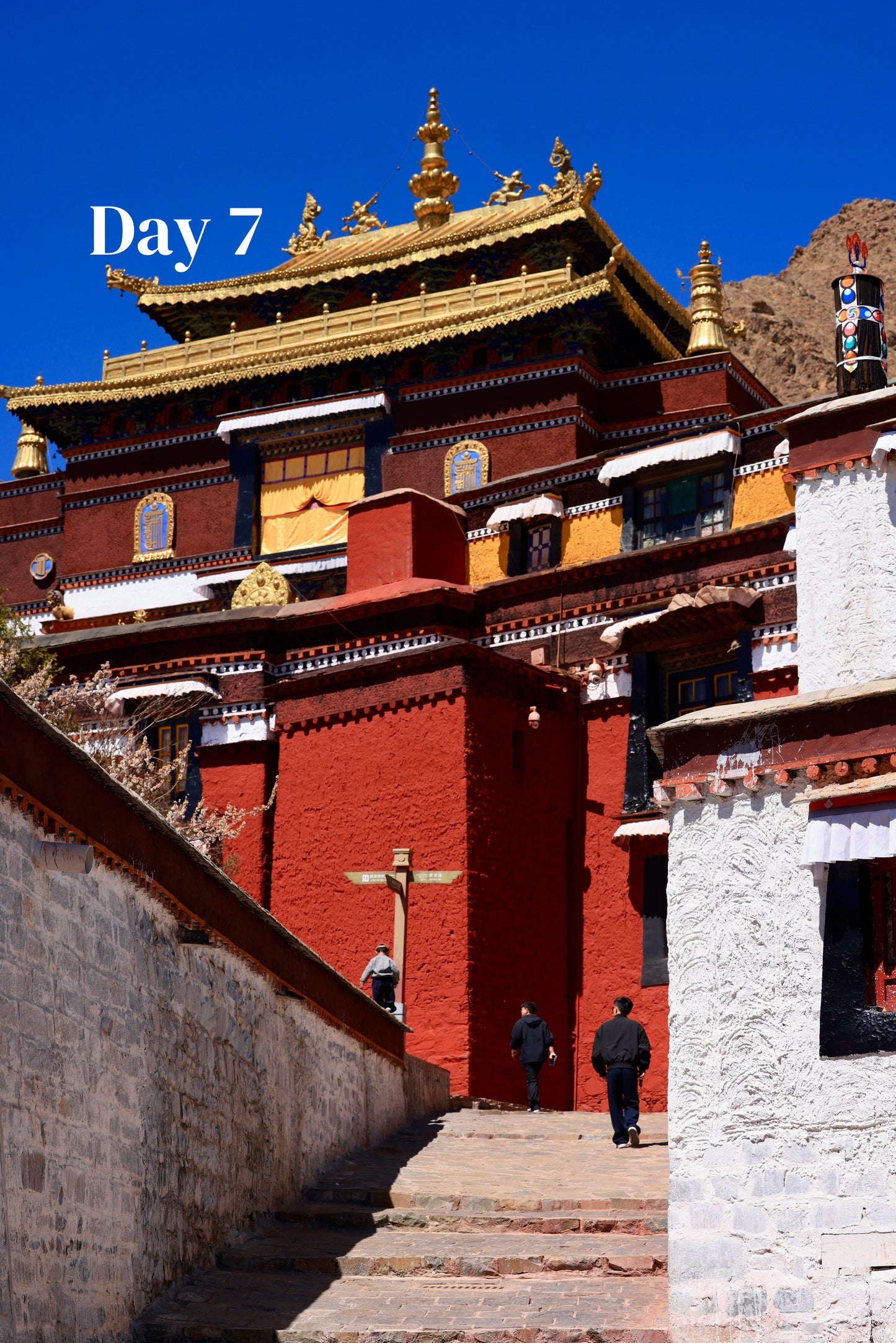 Tibet + Mount Everest (Private Luxury 8-Days all 5*Diamond Grade Hotels)