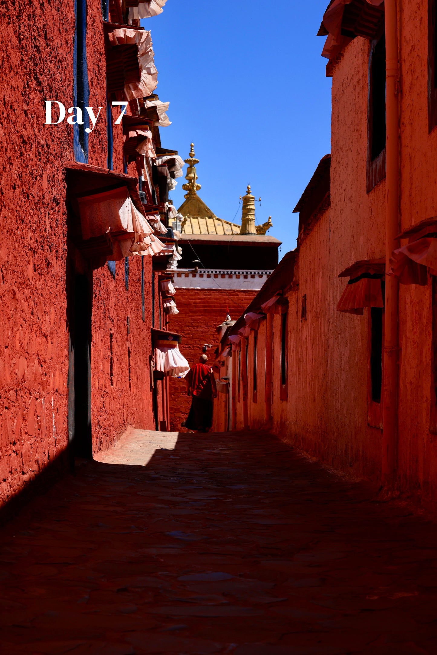 Tibet + Mount Everest (Private Luxury 8-Days all 5*Diamond Grade Hotels)