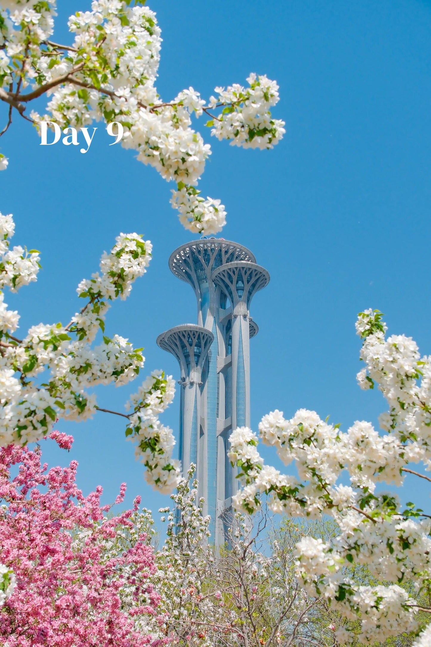 Route 1 : Shanghai + Xian + Beijing (Private Luxury 12-Days all 5*Diamond Grade Hotels)