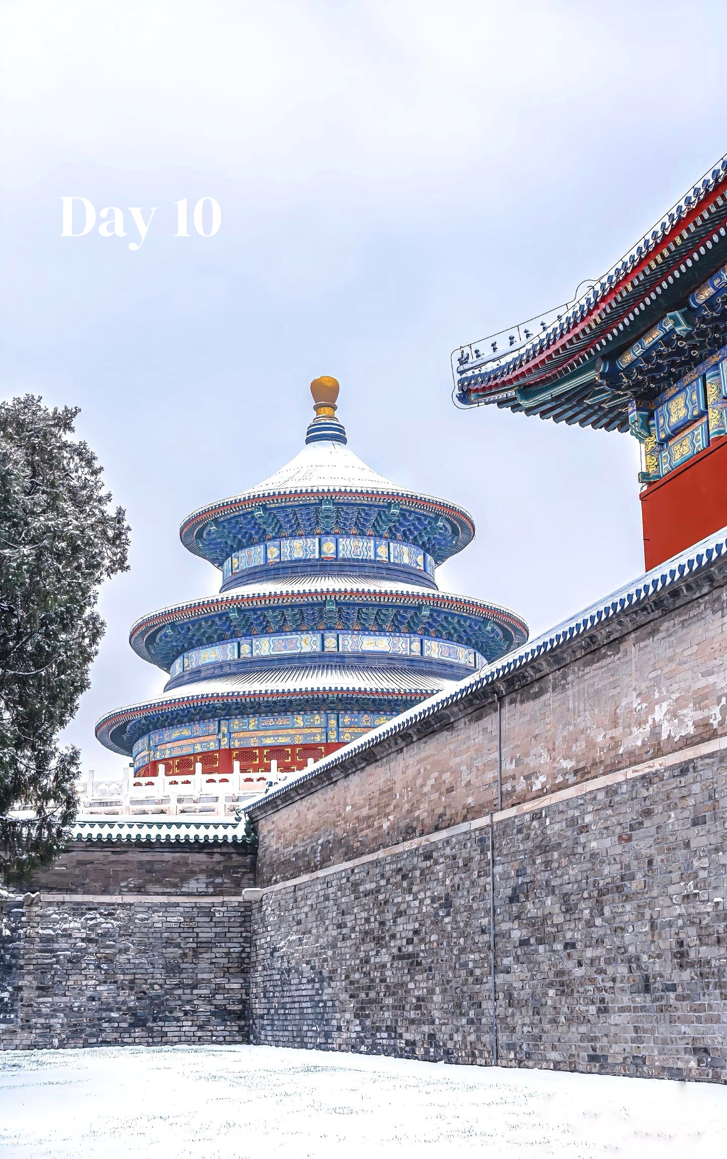 Route 1 : Shanghai + Xian + Beijing (Private Luxury 12-Days all 5*Diamond Grade Hotels)