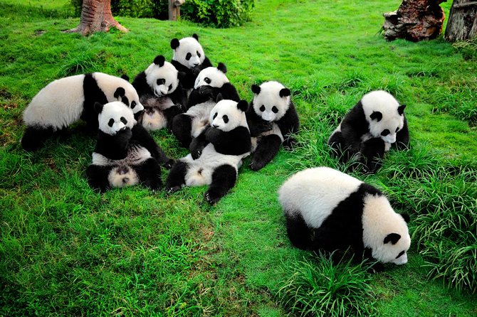 Route 2: Chengdu + Chongqing + Jiuzhaigou + Mount Emei + Dujiangyan + Leshan + Wulong Karst + Wujiang (Private Luxury 12-Days all 5*Diamond Grade Hotels)
