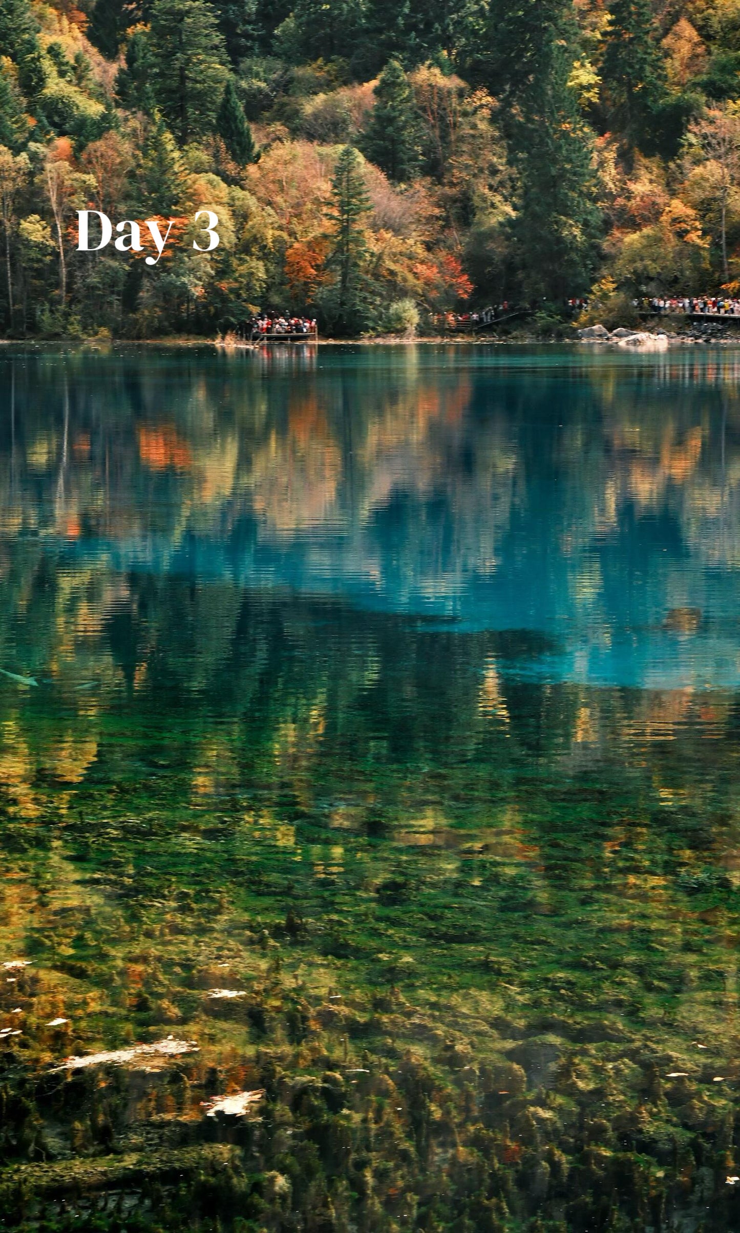 Route 2: Chengdu + Chongqing + Jiuzhaigou + Mount Emei + Dujiangyan + Leshan + Wulong Karst + Wujiang (Private Luxury 12-Days all 5*Diamond Grade Hotels)