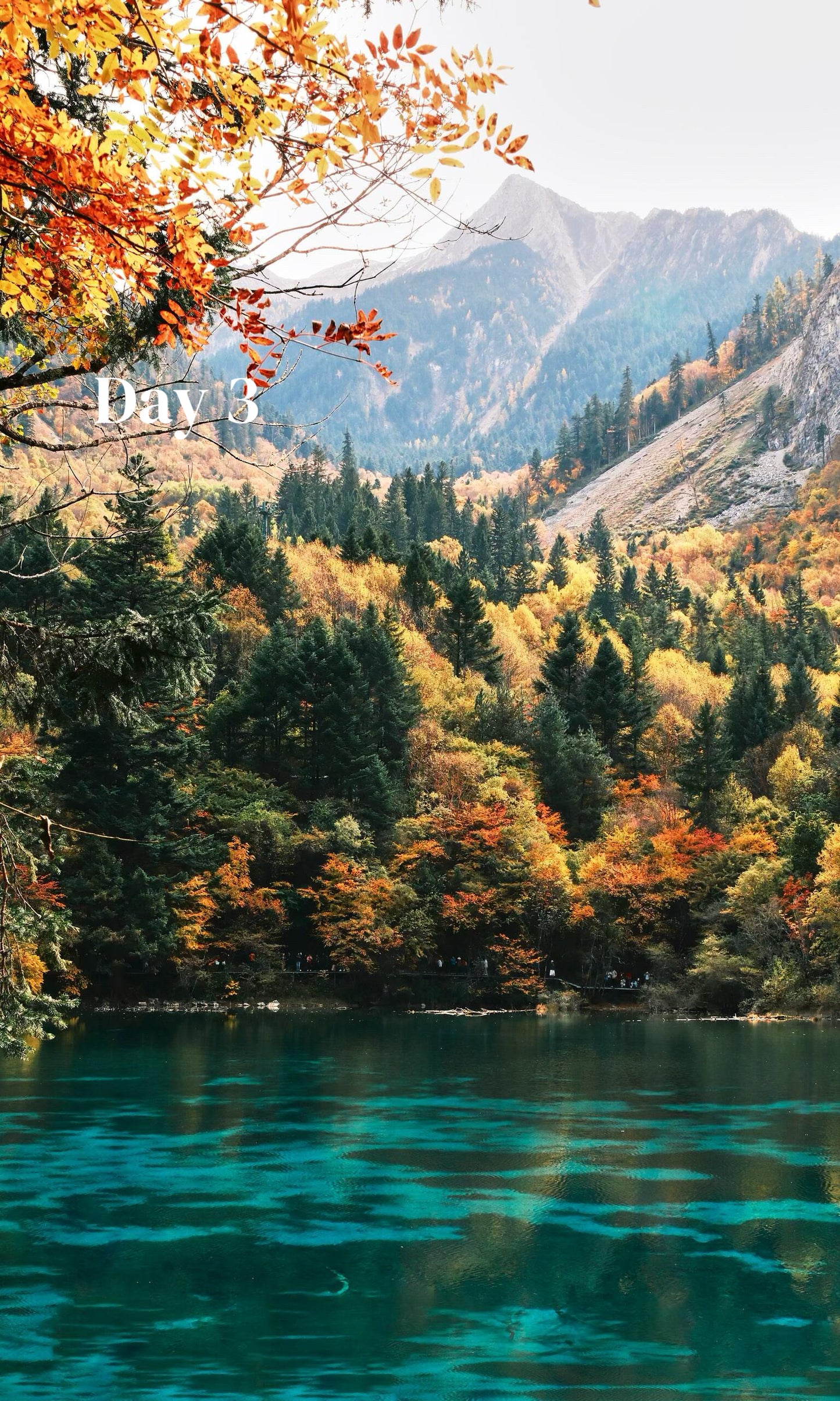Route 2: Chengdu + Chongqing + Jiuzhaigou + Mount Emei + Dujiangyan + Leshan + Wulong Karst + Wujiang (Private Luxury 12-Days all 5*Diamond Grade Hotels)