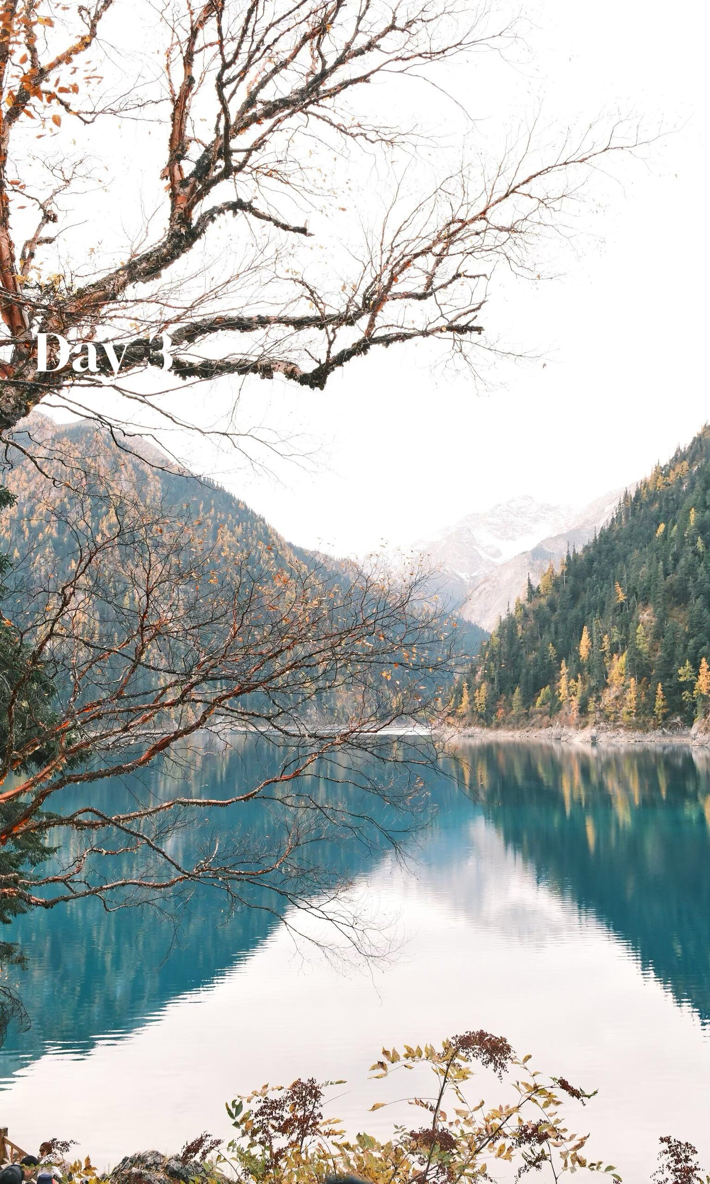 Route 2: Chengdu + Chongqing + Jiuzhaigou + Mount Emei + Dujiangyan + Leshan + Wulong Karst + Wujiang (Private Luxury 12-Days all 5*Diamond Grade Hotels)