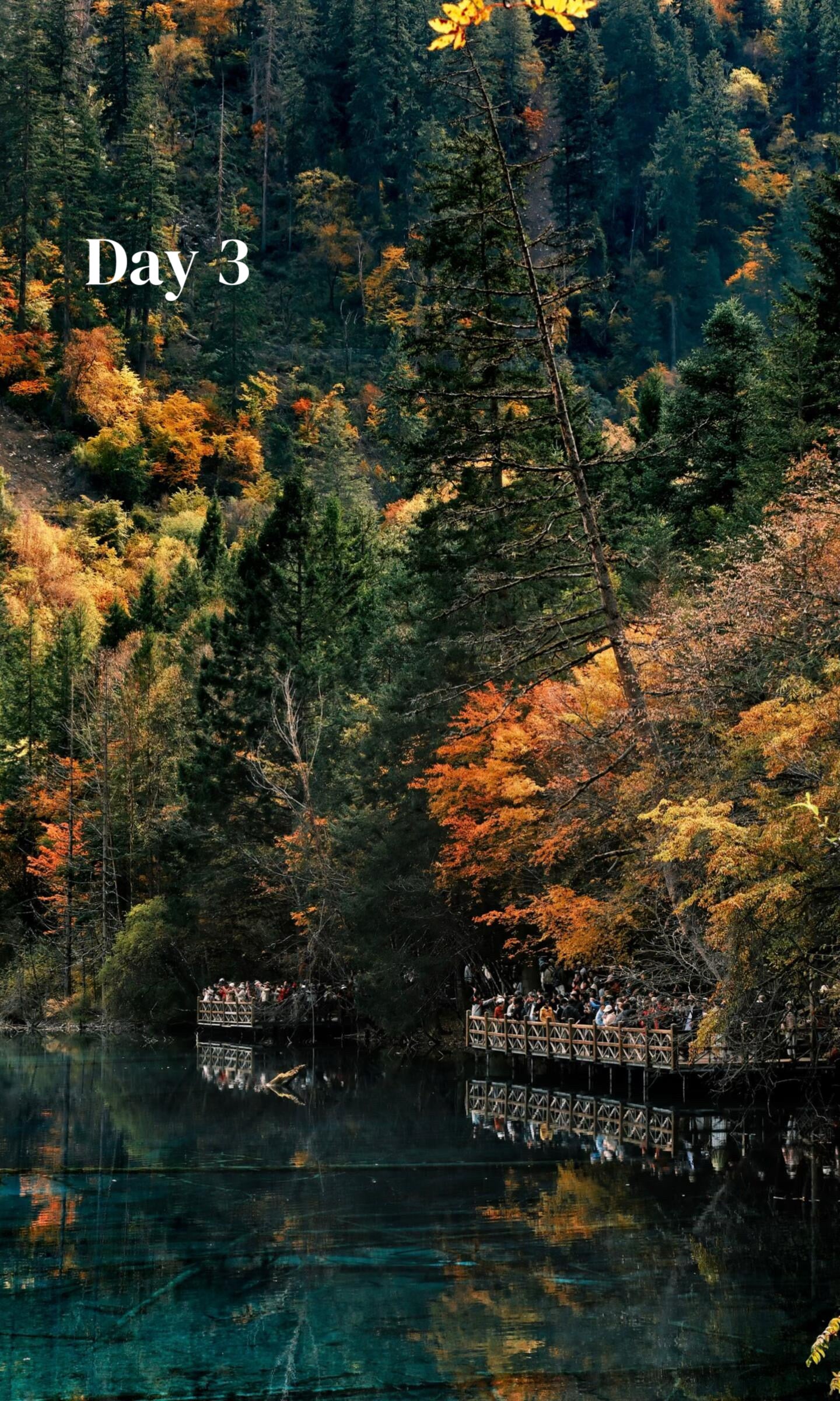 Route 2: Chengdu + Chongqing + Jiuzhaigou + Mount Emei + Dujiangyan + Leshan + Wulong Karst + Wujiang (Private Luxury 12-Days all 5*Diamond Grade Hotels)